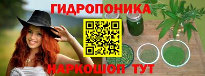 jwh Дубна