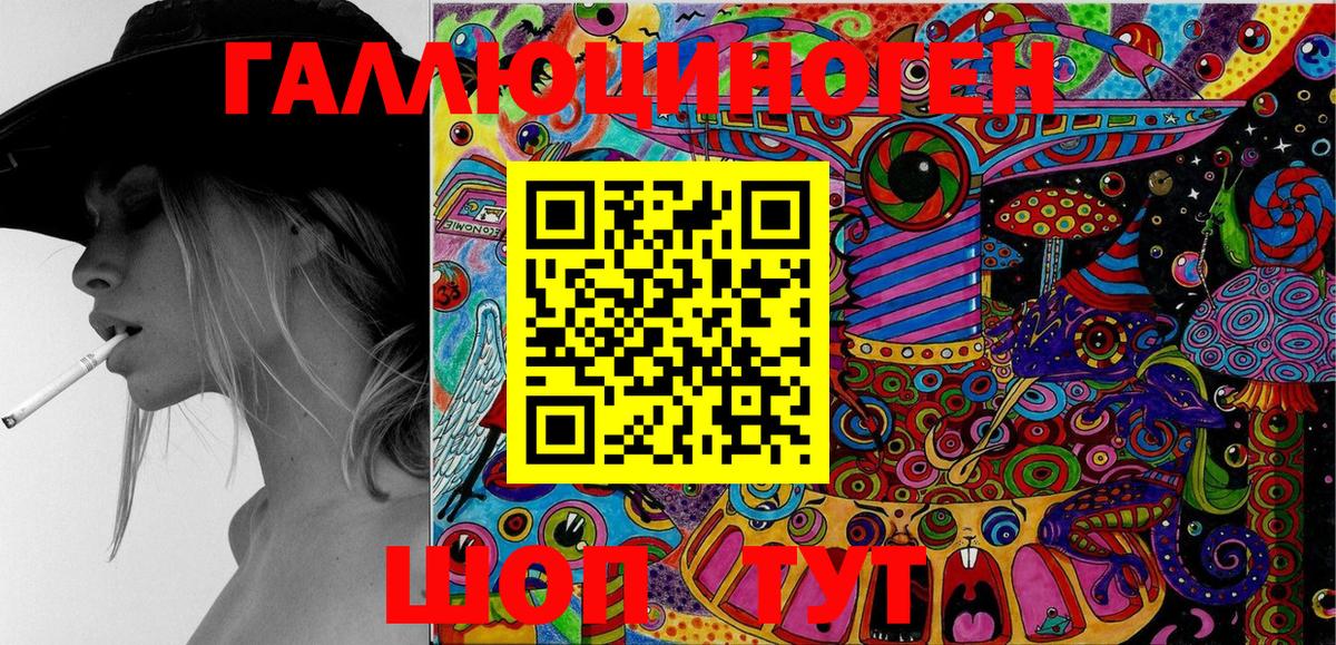 Псилоцибиновые грибы Psilocybe Михайловск