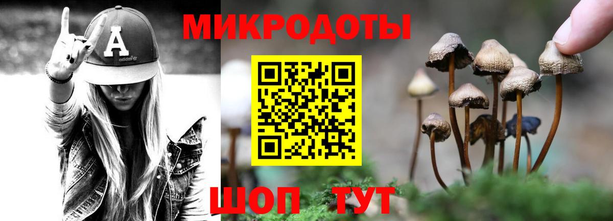 Михайловск  Псилоцибиновые грибы Cubensis  Вход с VPN 